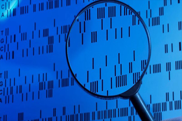 聚焦“钓鱼取证”、打击防疫物资商标假冒 最高法就知识产权保护征求意见