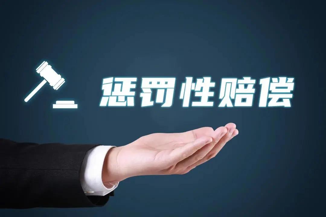 惩罚性赔偿在专利领域的适用