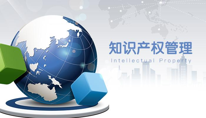 美国海关监管环境中的知识产权管理